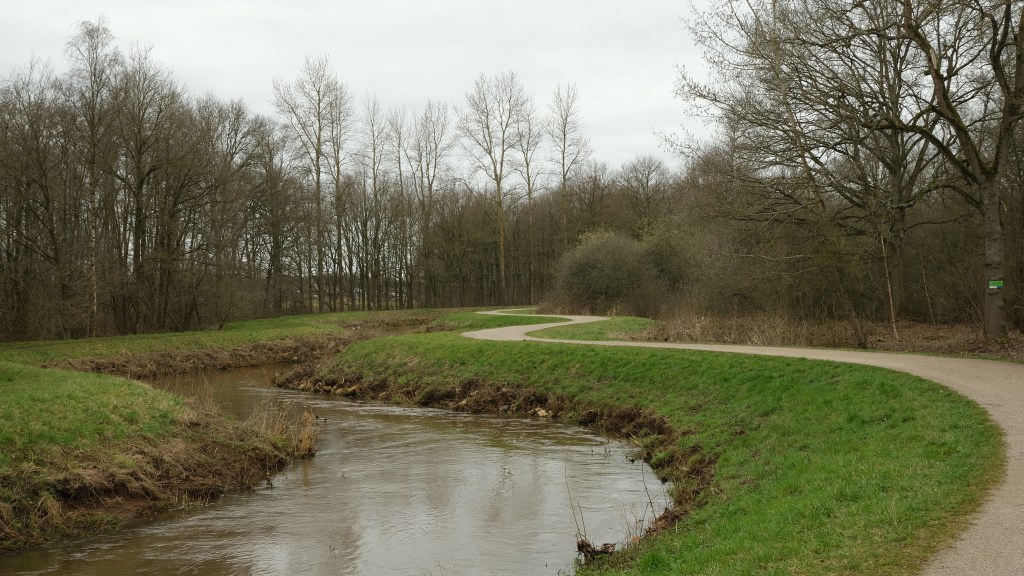 Merode bossen Westerlo Grote Nete wandelen fietsen wandelroute fietsroute 