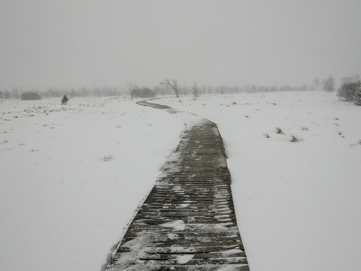 Het veelzijdige La Baraque Michel op de Hoge Venen&nbsp;(Malmedy)