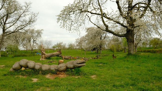 Borgloon speelbos wandelroute kinderen limburg haspengouw bloesems