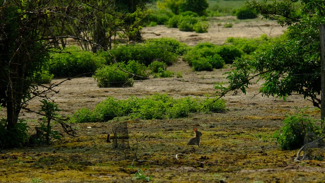 Kalkense Meersen wandelroute Oost-Vlaanderen België fietsroute Schelde land Benelux 