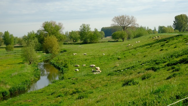 Kalkense Meersen wandelroute Oost-Vlaanderen België fietsroute Schelde land 