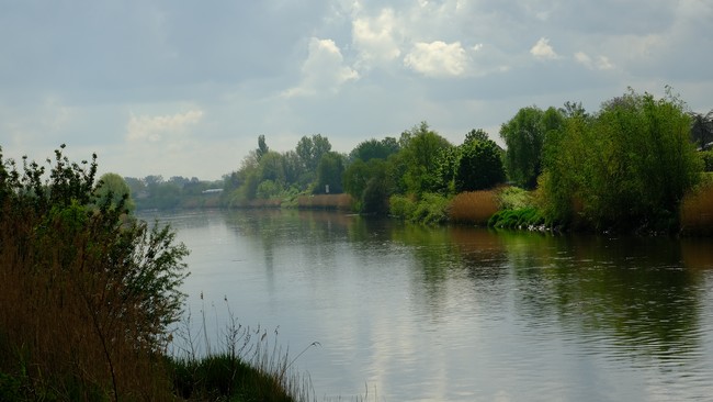 Kalkense Meersen wandelroute Oost-Vlaanderen België fietsroute Schelde land Benelux 