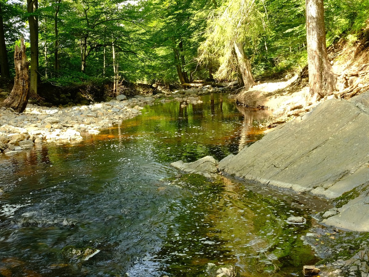 Wandelen vanuit Natuurhuis&nbsp;Ternell