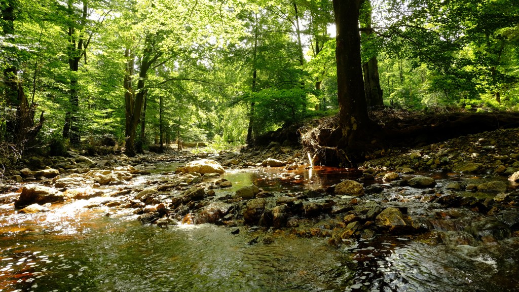 natuurhuis ternell wandeling wandelroute oostkantons ostbelgien hertogenwoud rivieren natuur rando gevorderden hoge venen eupen hautes fagnes 